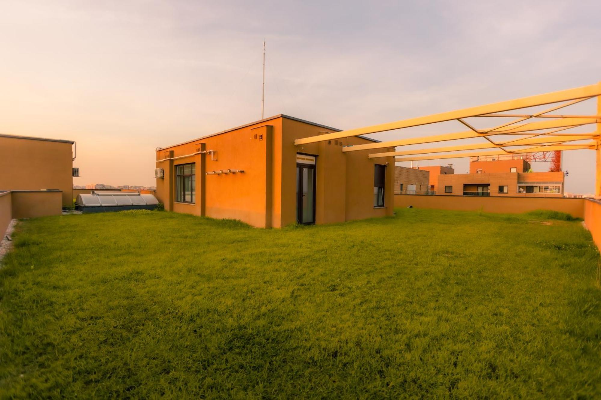 Sunset Apartment - Central Apt With Rooftop Garden 布加勒斯特 外观 照片